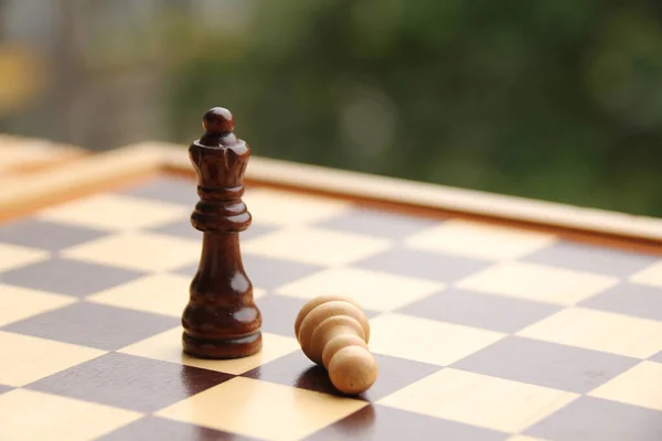 Pezzi di legno, regina degli scacchi e pedone, bianco e marrone scuro sulla scacchiera, concetto di gioco, subordinazione, perdita, dominio — Foto Stock