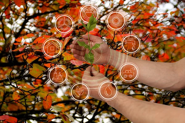 Gałąź z liśćmi w dłoni na pięknym jesiennym tle czerwonych liści drzew i ikon elementów ochrony środowiska, koncepcja ekologiczna, zbliżenie — Zdjęcie stockowe