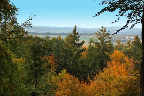 Beautiful autumn landscape with orange trees and firs with the city in the distance — Stock Photo, Image