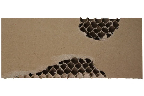 Honeycomb 에 빈 형태, 닫기, 복사 공간 — 스톡 사진