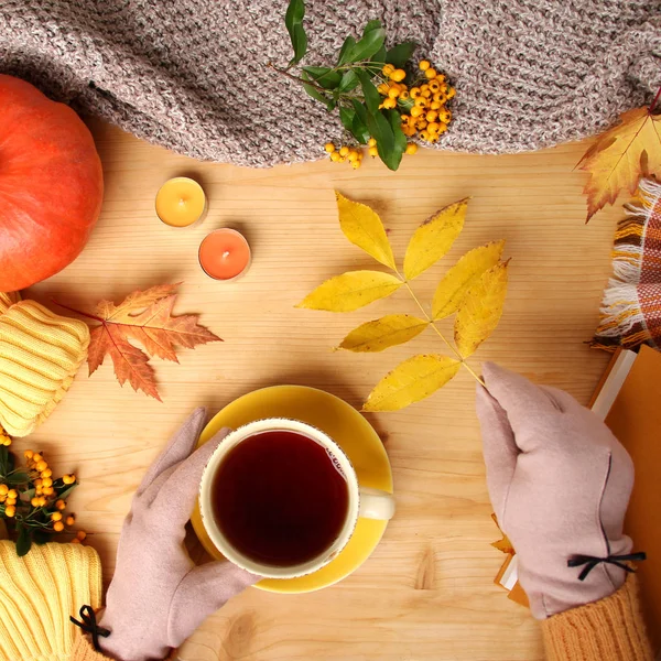 Frauenhände halten eine Tasse heißen Tee oder Kaffee in der Hand, Herbstflache im skandinavischen Hugg-Stil, mit gelben Blättern, kuscheliger Strickware, Kürbis und Beeren — Stockfoto