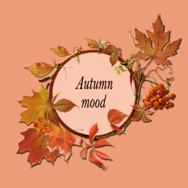 Belle composition de feuilles d'automne en cercle, carte postale, blanc pour le designer, motif pour annonces, invitations, félicitations, calendrier, maquette, espace de copie — Photo