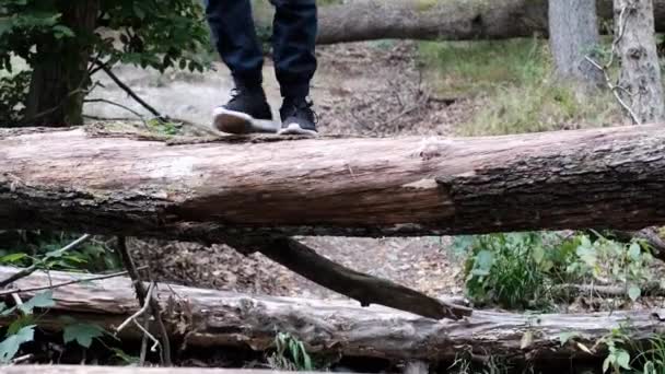 남자가 여름에 쓰러진 나무의 두꺼운 줄기를 넘으며 갱스터 추격의 스포츠 — 비디오