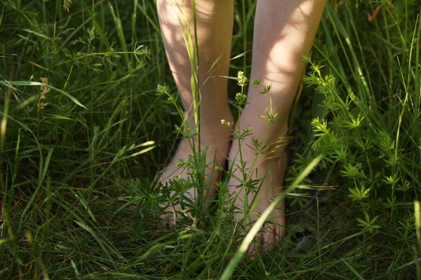 Bambino Scalzo Trova Erba Alta Estate Gambe Primo Piano Luce — Foto Stock