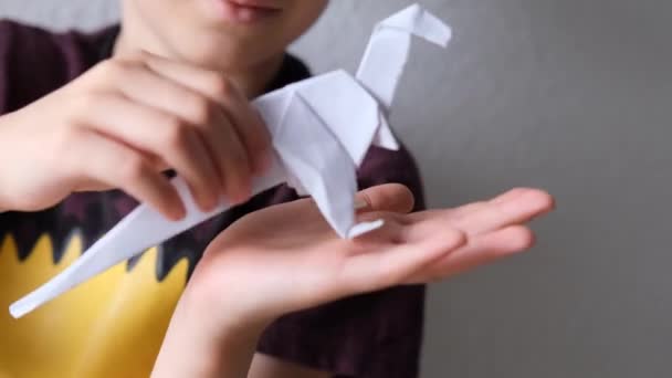 Enfant Garçon Tenant Modèle Dinosaure Plié Partir Papier Blanc Utilisant — Video