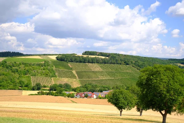 Bellissimo Paesaggio Estivo Con Campo Grano Dorato Maturo Prati Verdi — Foto Stock