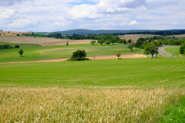 Bellissimo Paesaggio Estivo Con Campo Grano Dorato Maturo Prati Verdi — Foto Stock