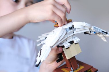 Evlat, bir okul çocuğu çok renkli plastik yapıcı parçalarından bir model yapar. Oyun konsepti, geliştirme, yaratıcı bir hobi.