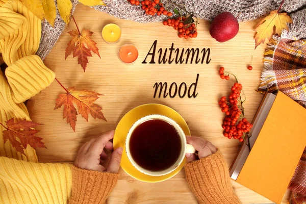 Herbstwohnung Skandinavischen Hugg Stil Mit Heißem Tee Kaffee Gelben Blättern — Stockfoto