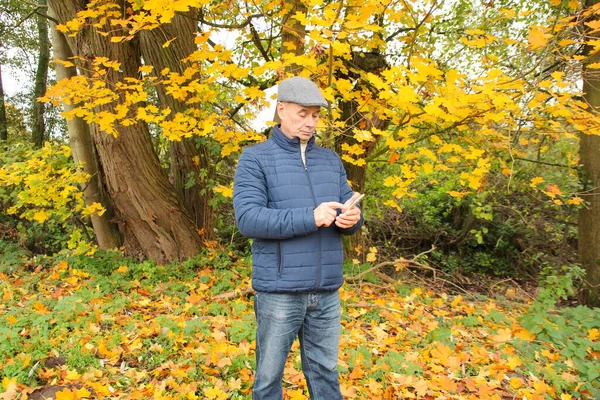 Parkta, akçaağaç ağaçlarının sarı ve turuncu yapraklarının arasında duran gri şapkalı ve mavi ceketli yaşlı bir adamın tonlu fotoğrafı internette telefon ediyor veya sörf yapıyor.