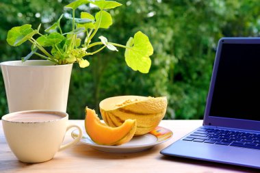 Yaz bahçesindeki masada açık dizüstü bilgisayar, kapuçino, tabakta kavun, vites küçültme, programcı, blogger konsepti var.