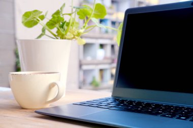 Yaz bahçesindeki masada açık dizüstü bilgisayar, boş ekranlı bilgisayar, tasarımcı için siyah ekran, bir fincan cappuccino, vites küçültücü iş yeri, programcı, blogger konsepti var.