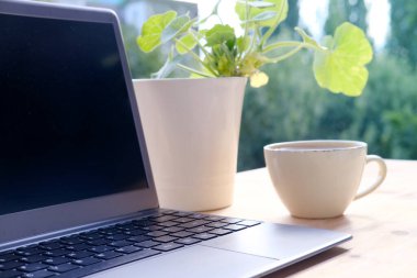 Yaz bahçesindeki masada açık dizüstü bilgisayar, boş ekranlı bilgisayar, tasarımcı için siyah ekran, bir fincan cappuccino, vites küçültücü iş yeri, programcı, blogger konsepti var.