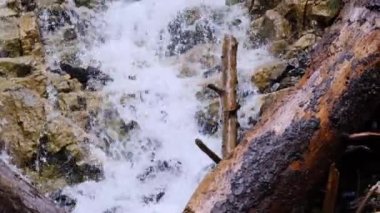 Güçlü temiz su akıntısı hızla dağlardan aşağı akar, taşlardan dökülen şelale damlaları, vahşi doğa konsepti, doğal kaynakların sembolü, alternatif enerji, boğulma tehlikesi