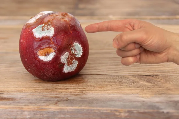 hand shows spoiled overripe nectarine covered with white fiber molds lie on a white plate, the concept of expired fruits, the correct conditions and shelf life of fruits