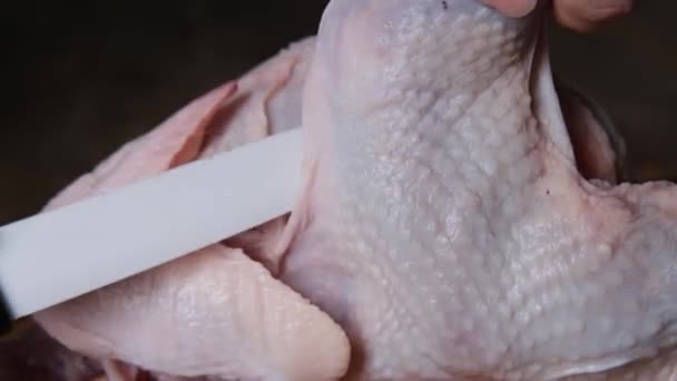 Γυναίκα Επεξεργάζεται Κοτόπουλο Προετοιμάζει Τρόφιμα Στην Κουζίνα Κόβει Κρέας Πουλερικών — Αρχείο Βίντεο