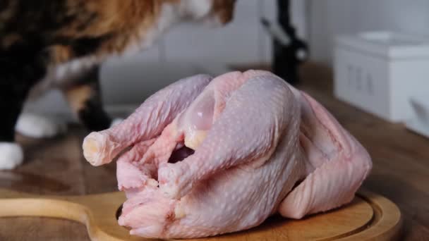 Çiğ Tavuk Izgarası Ahşap Bir Tahtanın Üzerinde Mutfak Masasında Yatar — Stok video
