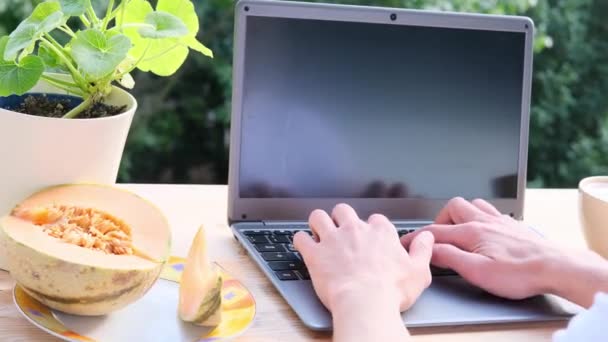 정원에서 블로거는 노트북 화면이 컴퓨터 디자이너를 디스플레이 카푸치노 프로그래머의 직장에 — 비디오