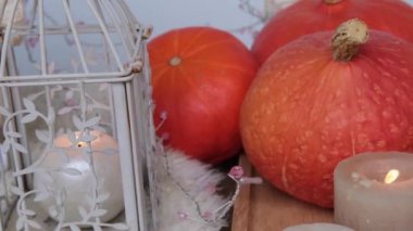 Sıcak İskandinav hyugge, üç portakal kabağı, beyaz mumlar, yün elbiseler, koyun derisi, cadılar bayramı konsepti, rahat ev, aromaterapi