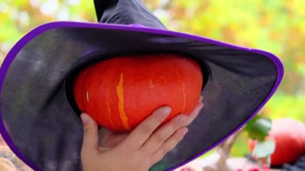 Sorcière Copack Noir Tenant Une Citrouille Orange Concept Fête Halloween — Video