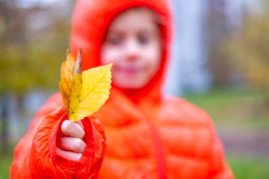 Parkta denge kirişinde yürüyen çocuk, açık hava ekipmanlarında dengede duran küçük kız, yeşil çimen arka planı, açık hava oyunu, koordinasyon egzersizi, renkli kazak ve kot giyen çocuk, aktif yaşam tarzı. 