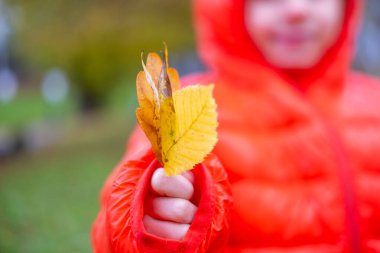 Parkta denge kirişinde yürüyen çocuk, açık hava ekipmanlarında dengede duran küçük kız, yeşil çimen arka planı, açık hava oyunu, koordinasyon egzersizi, renkli kazak ve kot giyen çocuk, aktif yaşam tarzı. 