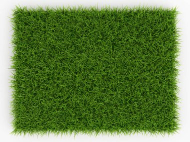 Taze Bahar Yeşil Çim Üst görünümü - doğal arka plan - 3d r