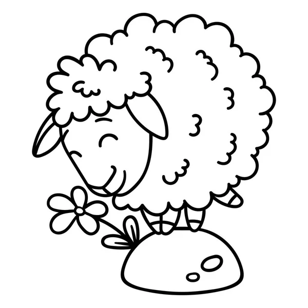 Ovce s květinou. Omalovánky. — Stock fotografie