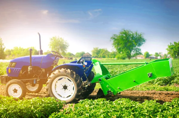 Tracteur Sur Terrain Avec Une Charrue Pour Creuser Récolte Des — Photo