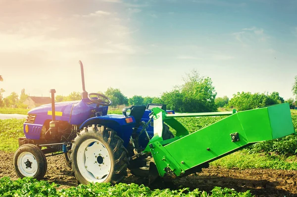 Tracteur Sur Terrain Avec Une Charrue Pour Creuser Récolte Des — Photo