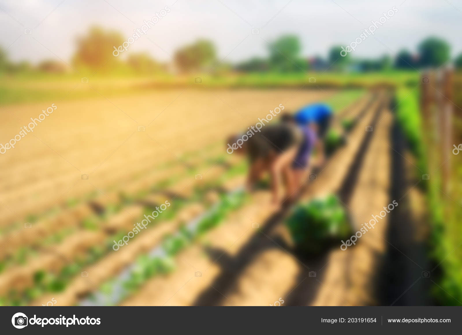 background information in world agriculture