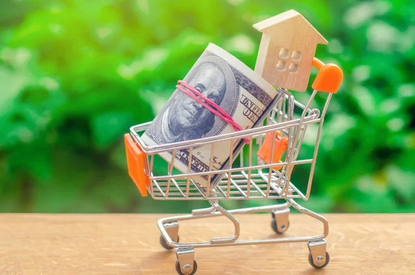 Property investment and house mortgage financial concept. buying, renting and selling apartments. real estate. Wooden house in a Supermarket trolley and dollars. credit, tax