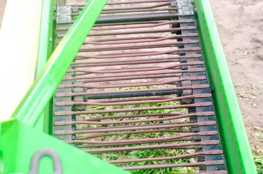 patates hasat, mevsimlik çalışma, taze sebze, agro-kültür, tarım, yakın çekim, güneşli bir günde iyi hasat kazma için pulluk. seçici odak