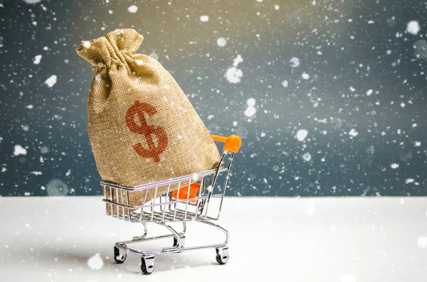 A bag of money in a supermarket trolley. Christmas promotions. Gift certificate for purchase. Contribution and investment. Cashback. Promotion at purchase. Participation in the draw. Frost prices.