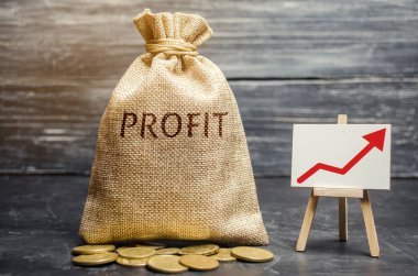 Para çantasını kar sözle ve yukarı ok. İş başarısı, finansal büyüme ve refah kavramı. Kar ve yatırım fonu artırın. Para tasarrufu ve birikimi.