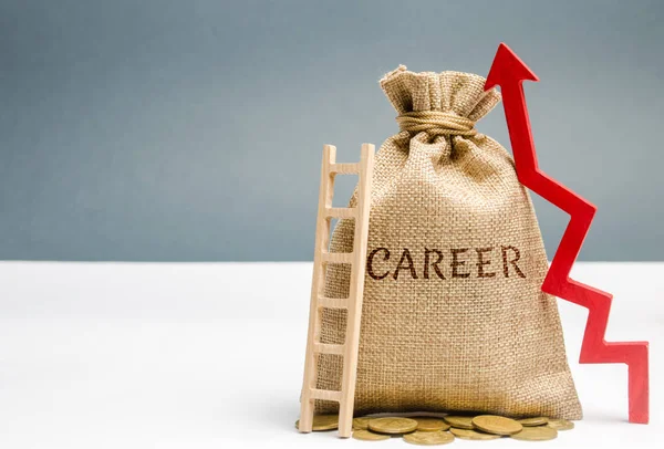 Money bag with the word Career and a ladder with up arrow. Self-development and leadership skills. Career ladder is a process of career growth, the achievement of success at work. Successful business