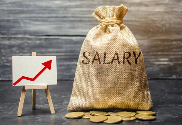 Bag with money and word Salary and up arrow and coins. Increase of salary, wage rates. Promotion. Career growth. Raising the standard of living. Increase profits and family budget.