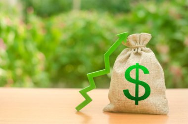 Dolar sembolü ve yeşil ok ile para çantası. Kar ve servet ilerler. ücret artışı. İş için uygun koşullar. Yatırım cazibesi. krediler ve sübvansiyonlar. uygun koşullar