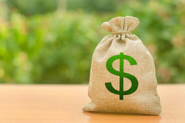 Money bag with dollar symbol on a nature background. Business, budget, financial transactions. Attracting investment to development and modernization. Available loans and subsidies, government support