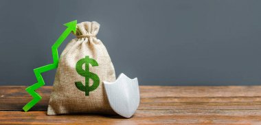 Yeşil dolar sembolü, yeşil ok yukarı ve kalkan ile Çanta. Paranın korunması kavramı, garantili mevduat. Müşteri haklarının korunması. korunan sermaye. Tasarruf güvenliğini artırmak