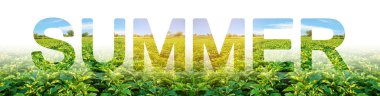 Yumurtallar tarlası arka planda yazıt yaz. Kış bitkileri. Yılın sezonu, büyüyen aktif faz, hasat. Zaman vitaminler üzerinde stok, sağlık geliştirmek. Tatil