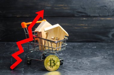 Evleri, bitcoin'i ve kırmızı oklu bir süpermarket arabası. büyüme değeri Bitcoin ve uzun vadeli yatırımların güvenilirliği. Dengesiz para birimi, yüksek volatilite. Mal bitcoins satın alma.