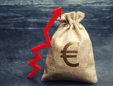 Euro tabelalı ve kırmızı yukarı oklu para torbası. İş ve finans kavramı. Kar artışı. Gelir analizi. Şirketin bütçesini artırın. Sermaye birikimi. Maaş artışı