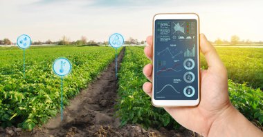 Farmer's, patates tarlaları olan bir tarlanın arka planında bir akıllı telefon tutuyor. Tarımsal başlangıç. Otomasyon ve mahsul kalitesi iyileştirme. Yüksek teknoloji, yenilik. Bilimsel araştırma.