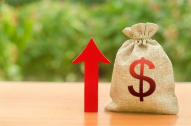 Dolar sembolü ve kırmızı ok ile para çantası. Kar ve servet ilerler. ücret artışı. Yatırım cazibesi. krediler ve sübvansiyonlar. uygun koşullar. İş için uygun koşullar.