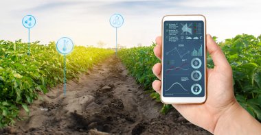 Farmer's, patates tarlaları olan bir tarlanın arka planında bir akıllı telefon tutuyor. Tarımsal başlangıç. Otomasyon ve mahsul kalitesi iyileştirme. Yüksek teknoloji, yenilik. Bilimsel araştırma.