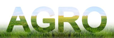 Arka plan üzerinde yazıt Agro Genç buğday yeşili alan mera. tarımsal endüstri. üretkenliği artırmak ve maliyetleri azaltmak için entegre çözümler. ekipman ve gübre. Güzel manzara.