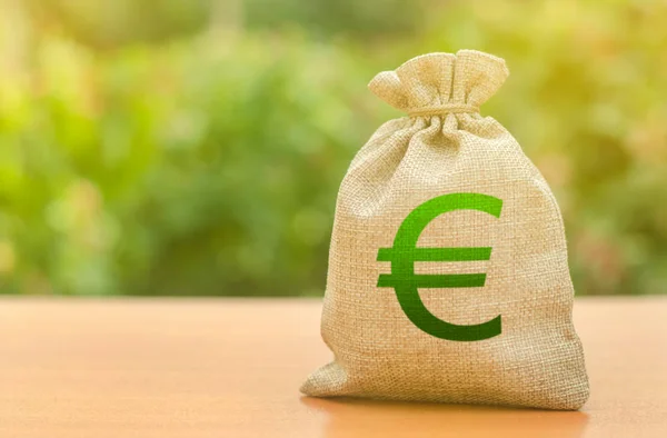 Bir doğa arka plan üzerinde Euro sembolü ile para çantası. İş, bütçe, finansal işlemler. Mevcut krediler ve sübvansiyonlar, devlet desteği. Kalkınma ve modernizasyoniçin yatırım çekme. — Stok fotoğraf