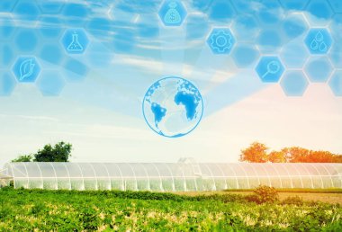 greenhouses in the field for seedlings of crops, fruits, vegetables, lending to farmers, farmlands, agriculture, rural areas, agro-industrial Innovations in agriculture. High technology and research clipart
