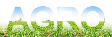 Bir patates tarlasının arka planında Agro yazıtı. Tarım ve tarım salaä ä±. Yenilikçi teknolojilerin, ekipmanların ve gübrelerin kullanımı. Güzel manzara. Tarım.